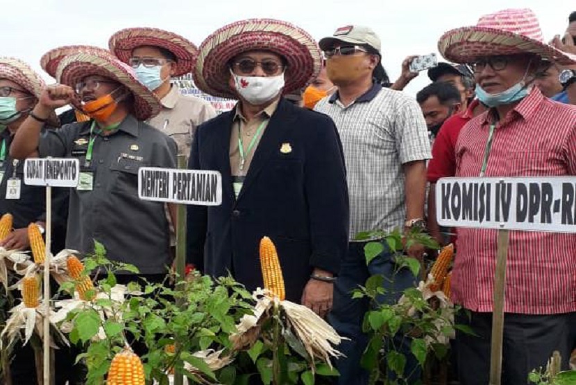  Menteri Pertanian Syahrul Yasin Limpo (Mentan SYL) bersama Bupati Janeponto, Iksan Iskandar melakukan panen jagung di Desa Karelayu Kecamatan Tamalatea Kaupaten Jeneponto, Sulawesi Selatan, Kamis (30/7). Produksi komoditas pertanian salah satunya jagung menjadi fokus utama melalui program akselerasi.