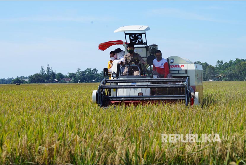  Menteri Pertanian, Syahrul Yasin Limpo, menginginkan agar ada skema Kredit Usaha Rakyat (KUR) untuk penyuluh pertanian. (Ilustrasi).