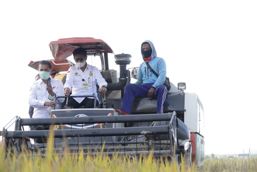 Menteri Pertanian Syahrul Yasin Limpo (Mentan SYL), didampingi Plt Bupati Konawe Selatan Arsalim Arifin melakukan panen raya padi di Desa Cialam Jaya, Kecamatan Konda, Konawe Selatan, Kamis (22/10). 