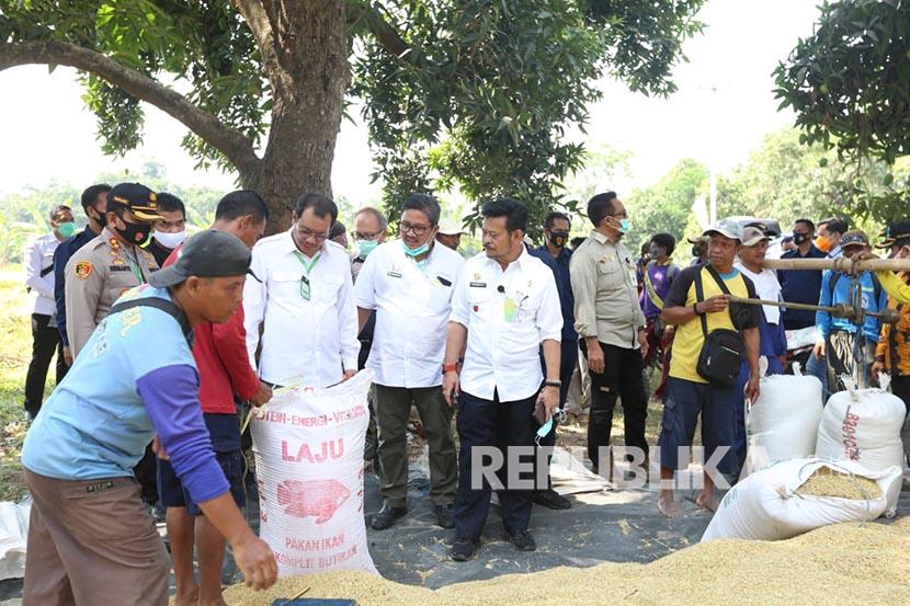 Menteri Pertanian, Syahrul Yasin Limpo (Mentan SYL) melakukan panen padi di Desa Karang Tumaritis, Kecamatan Hautgeulis, Kabupaten Indramayu, Sabtu (5/9).