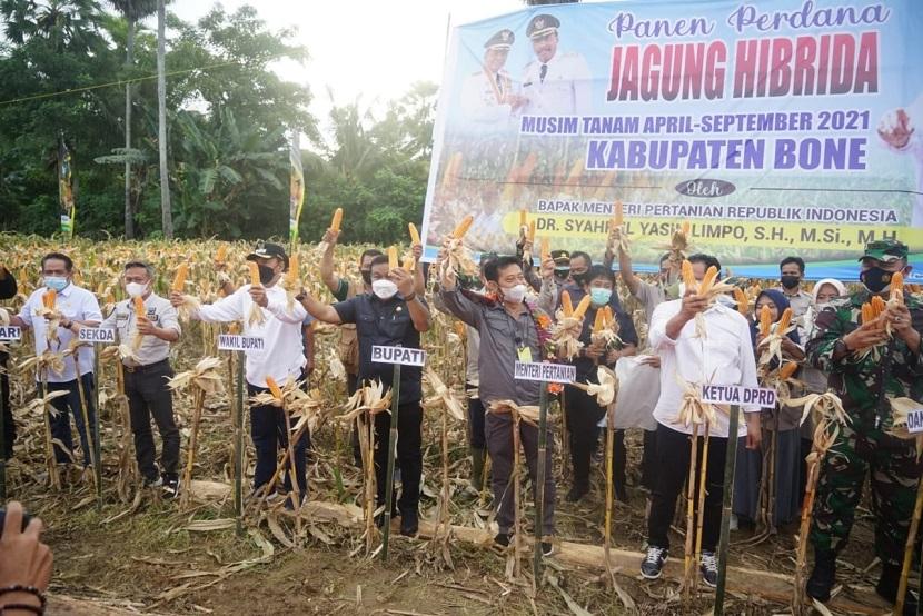 Menteri Pertanian Syahrul Yasin Limpo (Mentan SYL) melakukan panen perdana jagung hibrida musim tanam April di Desa Lanca, Kecamatan Tellu Siattinge, Kabupaten Bone, Sulawesi Selatan (Sulsel), Minggu (3/7).