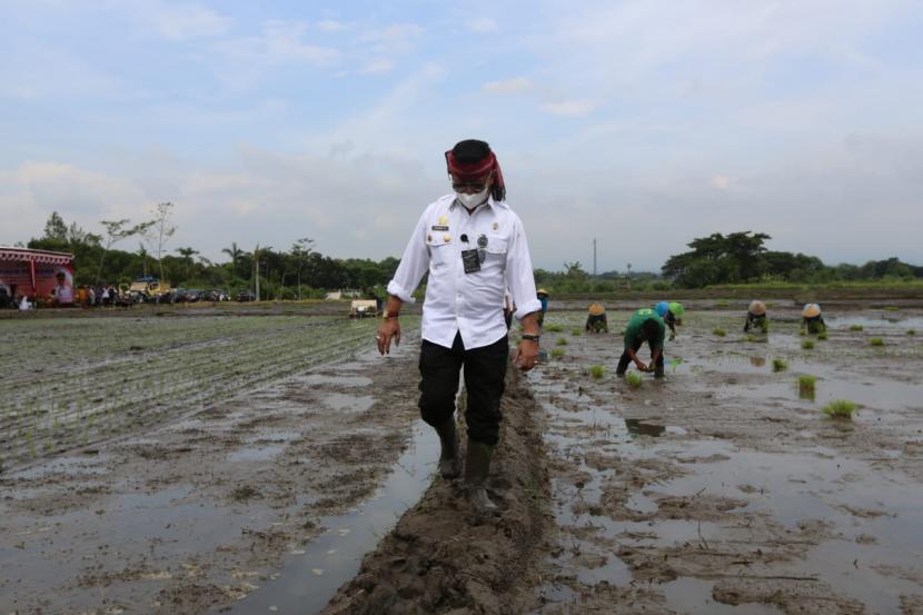 Menteri Pertanian Syahrul Yasin Limpo (Mentan SYL) melakukan tanam padi sekaligus pencanangan perdana indeks pertanaman (IP) 400 atau penanaman 4 kali setahun di Desa Sribit, Kecamatan Delanggu, Klaten, Selasa (11/01/2022).