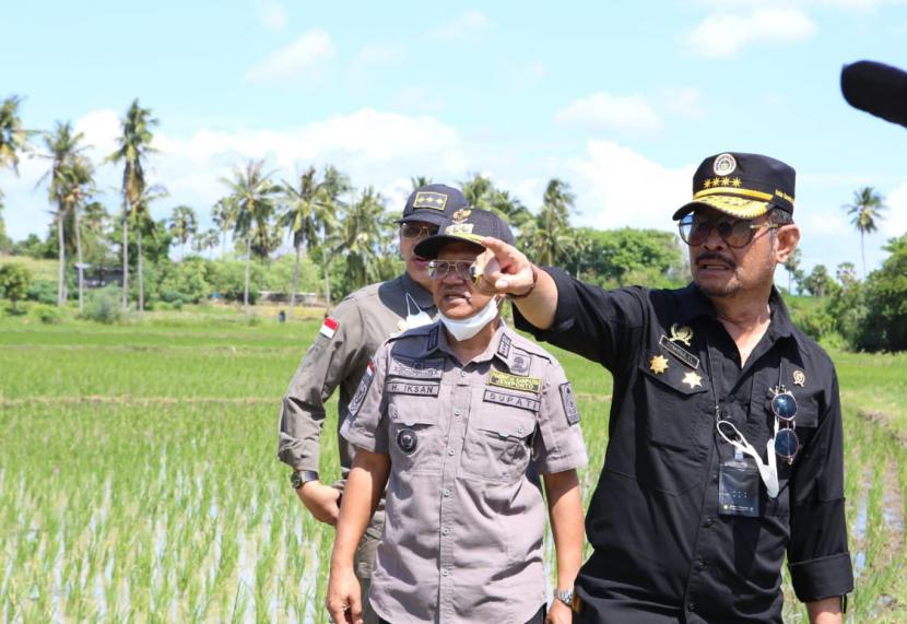 Menteri Pertanian Syahrul Yasin Limpo (Mentan SYL) memastikan bahwa perkembangan lahan pertanaman Jagung di Kecamatan Binamo, Kabupaten Jeneponto, Sulawesi Selatan dalam kondisi yang sangat bagus. Artinya, produktivitas di sana sudah tidak ada masalah serius, meski sebagian areal tanam masih dipenuhi bebatuan.