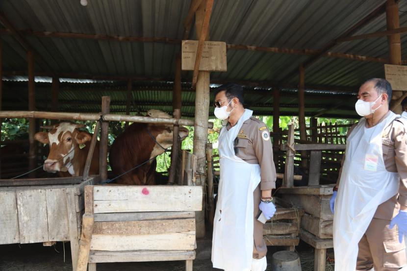 Menteri Pertanian Syahrul Yasin Limpo (Mentan SYL) memimpin Vaksinasi Perdana dan Apel Siaga Penyakit Mulut dan Kuku (PMK) di Jawa Tengah. 