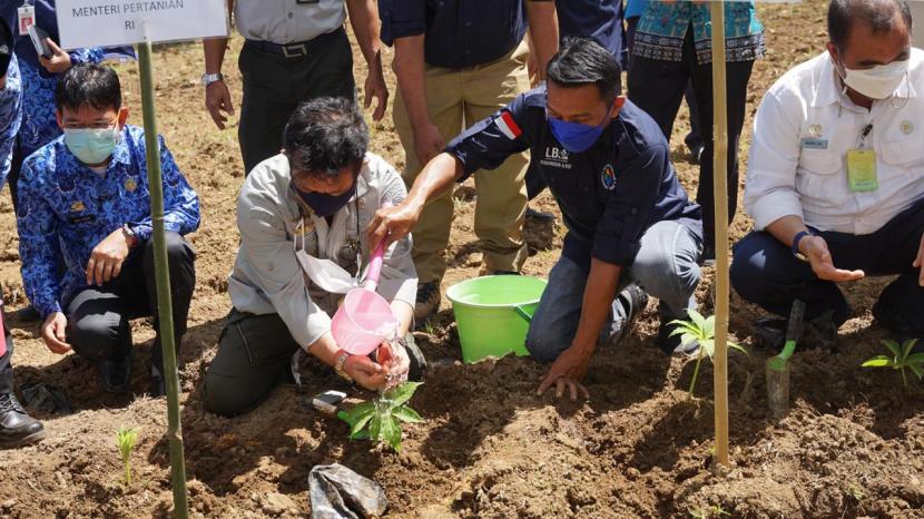 Menteri Pertanian Syahrul Yasin Limpo (Mentan SYL) mendorong bisnis tanaman porang dari budidaya sampai pascapanen dan industri. Hasil olahan porang bisa jadi produk diet dan pangan sehat, antara lain, mie dan beras shirataki. 