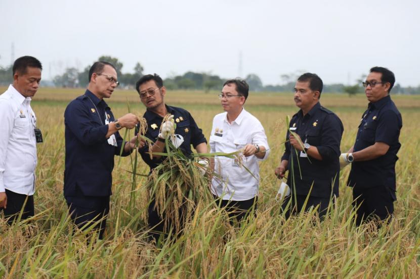 Menteri Pertanian Syahrul Yasin Limpo (Mentan SYL) mendorong peningkatan kualitas varietas benih padi unggul untuk meningkatkan produksi beras nasional.