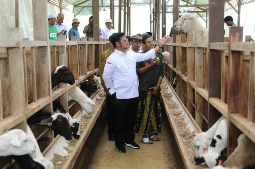 Menteri Pertanian Syahrul Yasin Limpo (Mentan SYL) mengajak para peternak domba di Kabupaten Bogor, Jawa Barat, untuk memenuhi kebutuhan daging nasional secara merata di seluruh Indonesia.
