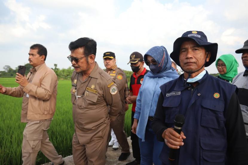 Menteri Pertanian Syahrul Yasin Limpo (Mentan SYL) mengecek lahan pertanaman padi Indeks Pertanaman (IP) 400 di Klaten. 