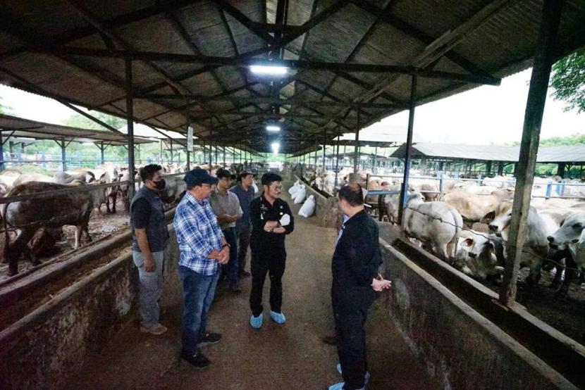 Menteri Pertanian Syahrul Yasin Limpo (Mentan SYL) meninjau peternakan sapi milik salah satu perusahaan swasta di Desa Karangmekar, Kedung Waringin, Kabupaten Bekasi, Jawa Barat.