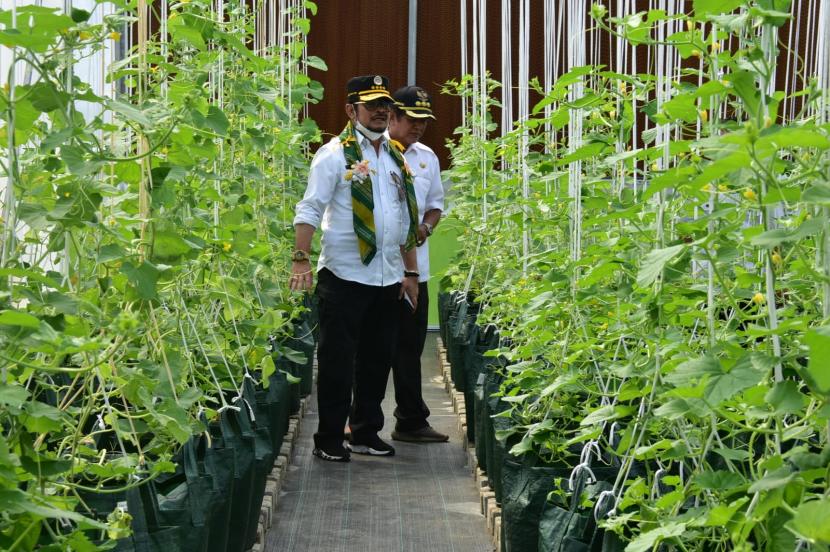 Menteri Pertanian Syahrul Yasin Limpo (Mentan SYL) meninjau sekaligus meresmikan enam screen house modern di Kabupaten Soppeng serta melepas pengiriman komoditas sayuran ke pasar modern Makassar. 