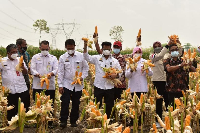 Menteri Pertanian Syahrul Yasin Limpo (Mentan SYL) pada acara panen jagung nusantara di Desa Banjarsari, Kecamatan Kradenan, Kabupaten Grobogan.