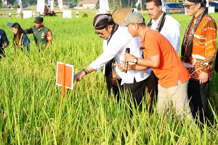 Menteri Pertanian Syahrul Yasin Limpo (Mentan SYL) saat menghadiri Gebyar Perbenihan Nasional VIII 2023 di Kulon Progo, Rabu (31/5/2023).