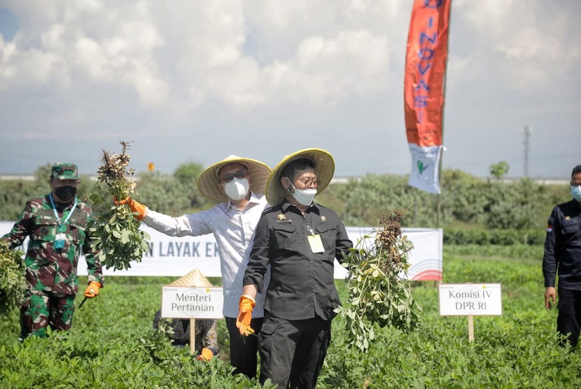  Menteri Pertanian Syahrul Yasin Limpo melakukan panen kacang tanah dan kedelai hitam. Komunitas Mahasiswa Bertani Unhas mendukung program Kementerian Pertanian. Ilustrasi.