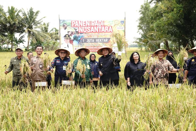 Menteri Pertanian Syahrul Yasin Limpo (SYL) bersama petani di sejumlah wilayah seperti Kabupaten Ogan Komering Ulu (OKU) Timur, Ogan Komering Ilir (OKI) dan Kabupaten Banyuasin melakukan panen padi serentak.