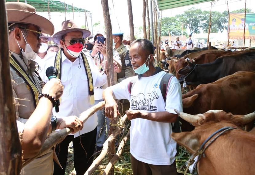 Menteri Pertanian Syahrul Yasin Limpo (SYL) bersama peternak melakukan panen pedet (anak sapi) hasil inseminasi buatan (IB) sekaligus meluncurkan Program Kelahiran 100.000 Ekor Belgian Blue di Lampung. 