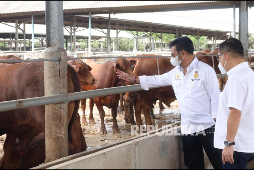 Menteri Pertanian Syahrul Yasin Limpo (SYL). Kementerian Pertanian (Kementan) menyatakan telah menetapkan karantina wilayah (lockdown) untuk enam kabupaten yang terjangkit virus penyakit mulut dan kaki (PMK) pada ternak sapi. 
