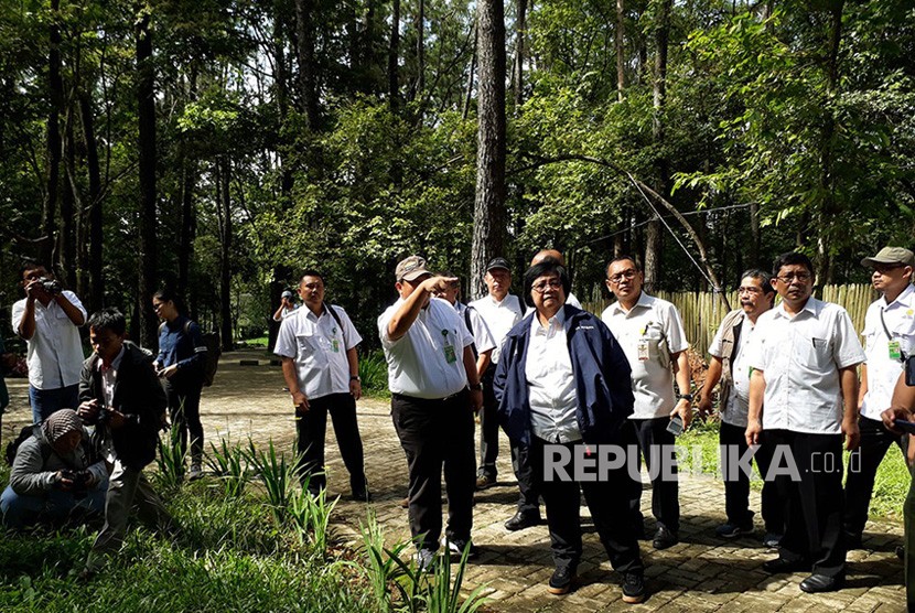  Menteri Siti Nurbaya yang didampingi Kepala Dinas Kehutanan Sumatra Selatan (Sumsel) Pandji Tjahjanto meninjau hutan kota Punti Kayu, Palembang, Rabu (21/11).