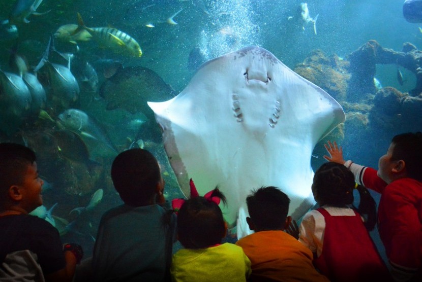 Menyambut liburan sekolah, Ancol menggelar Camping Under the Sea.