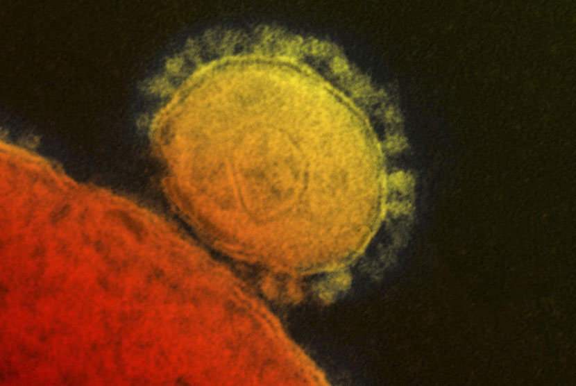 MERS-CoV (Middle East Respiratory Syndrome-Corona Virus).