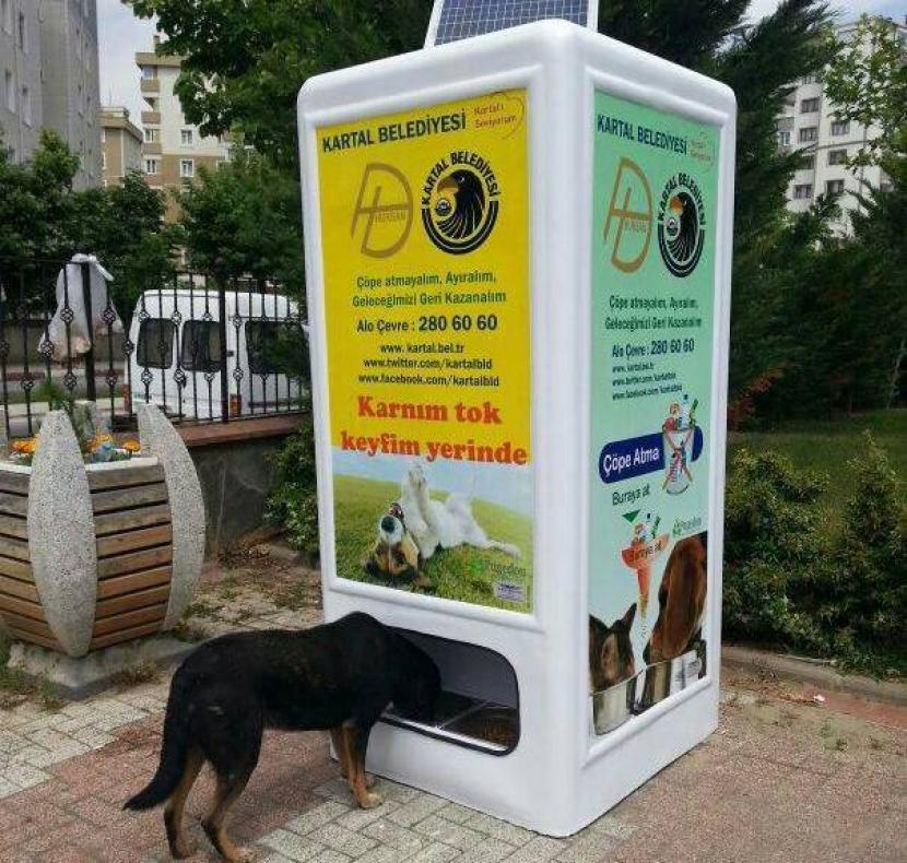 Mesin mirip vending machine mengeluarkan makanan hewan saat diisi botol di Istanbul, Turki