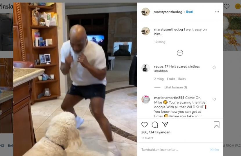 Mike Tyson berlatih tinju dengan anjing kesayangan bernama Mars.