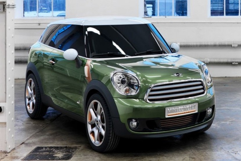 Mini Paceman