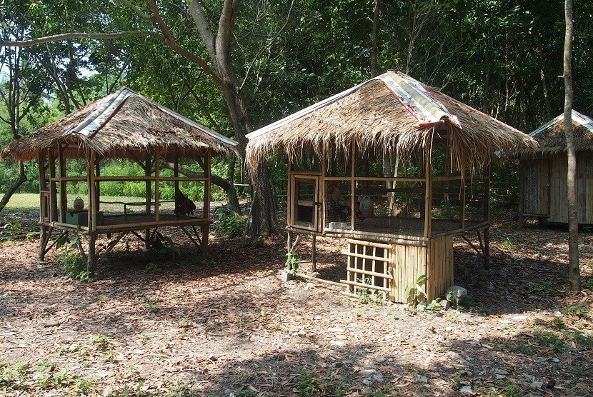 Mini Zoo di Tanjung Lesung