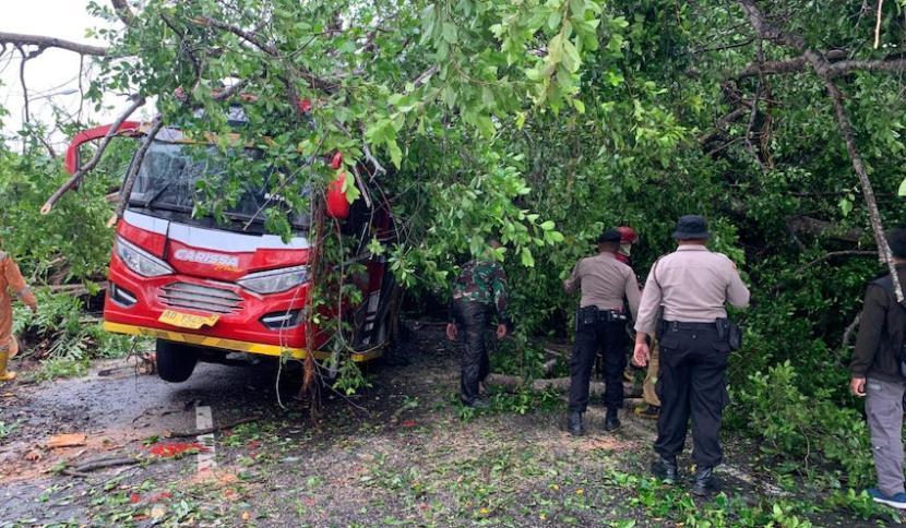 Minibus tertimpa pohon tumbang di ruas Jalan Raya Wonogiri-Ngadirojo, Desa Purworejo, Kabupaten Wonogiri, Jawa Tengah, Jumat (19/1/2024). 