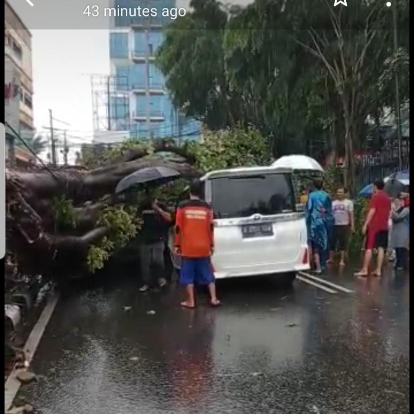 Mobil Erros Djarot dan Slamet Rahardjo yang tertimpa pohon tumbang di Jakarta