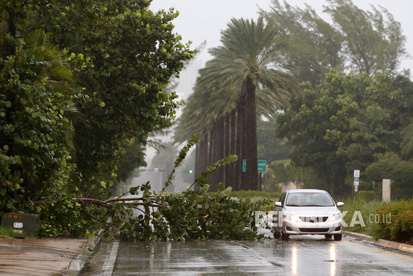  Mobil melintas di pohon yang tumbang akibat Badai Irma, di Pantai Emas, Florida, (9/9).        