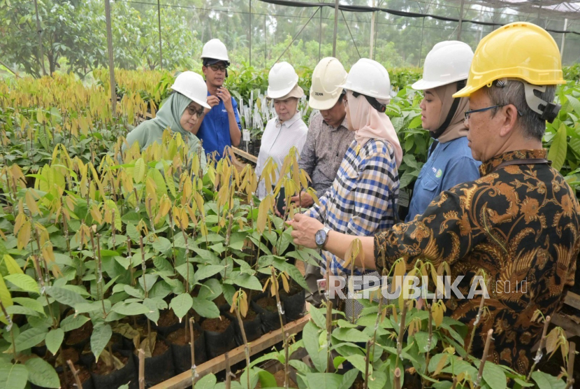 Mondelez International mendorong pertanian kakao berkelanjutan di Indonesia.