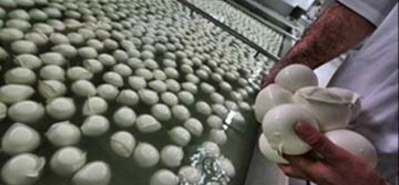 Mozarella Halal