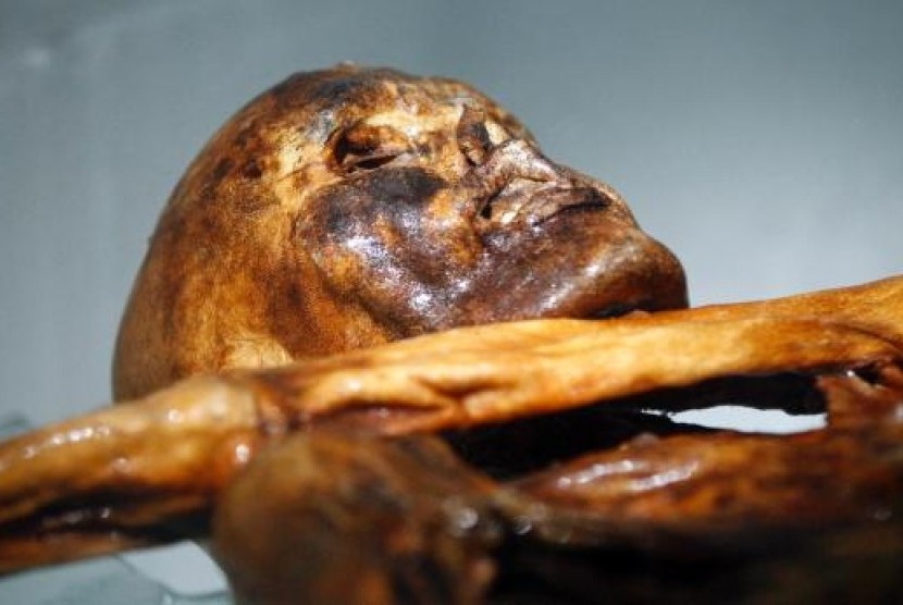 Mumi manusia es Oetzi keturunan dari petani Turki.