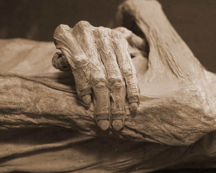 Mumi misterius 'Mysterious Lady' ditemukan para peneliti asal Polandia (Foto: ilustrasi mumi)