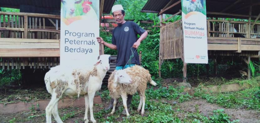 Mumtaza Aqiqah yang merupakan unit usaha BUMMas Warak Berdaya Farm binaan Rumah Zakat kembali menyembelih dua ekor domba jantan, Senin (22/2).
