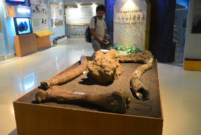 Museum Sangiran, Jawa Tengah