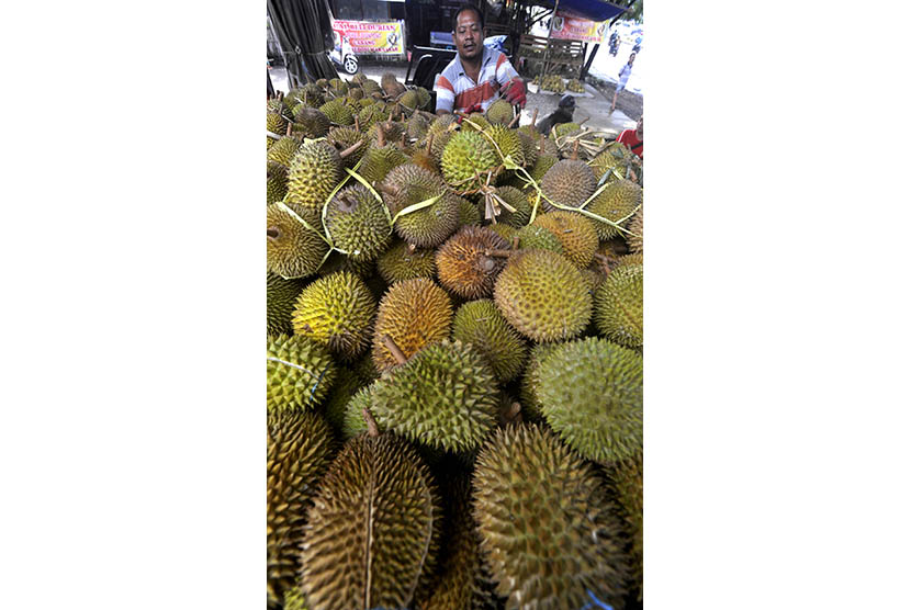 Musim Durian