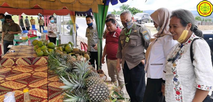 Nanas pakpak memiliki ukuran yang besar dibandingkan dengan nanas lain, juga awet disimpan karena buahnya saat matang masih berwarna hijau.