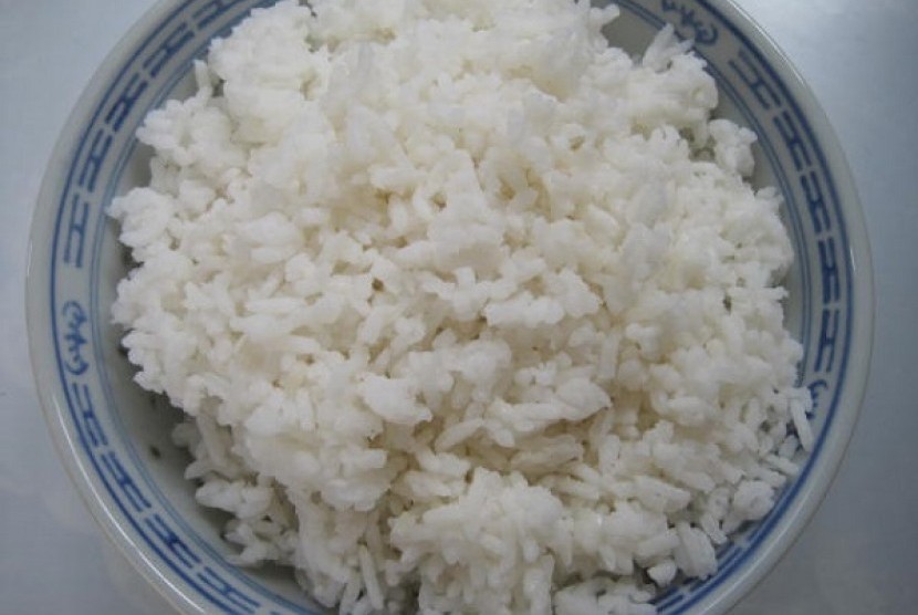 sepiring nasi (ilustrasi)