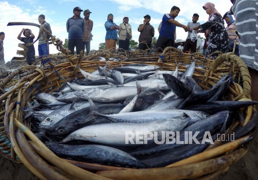 Nelayan bertransaksi dengan pedagang, di TPI Pasie Nan Tigo, Padang, Sumatera Barat, Selasa (15/9/2020). Nelayan mengaku sepekan terakhir, harga ikan turun dari Rp500 ribu per keranjang (25 kilogram) menjadi Rp300 ribu per keranjang karena hasil tangkapan mereka melimpah, namun daya beli masyarakat turun, diperparah dengan kesulitan menjual hasil tangkapan mereka keluar daerah di masa pandemi COVID-19. 