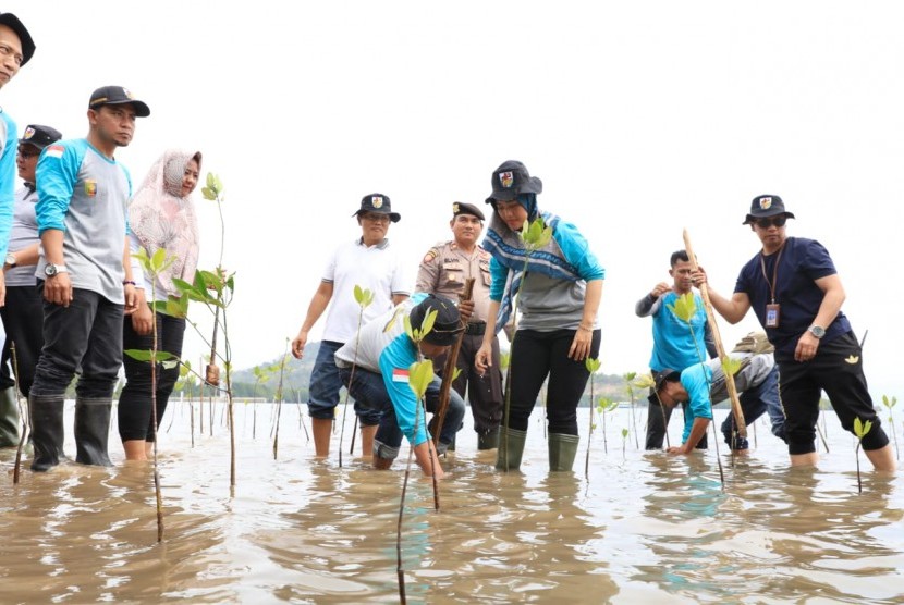 Nelayan dan warga tanam pohon mangrove di pesisir pantai (ilustrasi) 