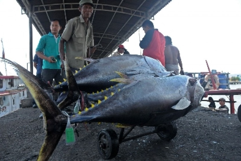 Nelayan di Cilacap kini menjadi peserta BPJS Ketenagakerjaan.