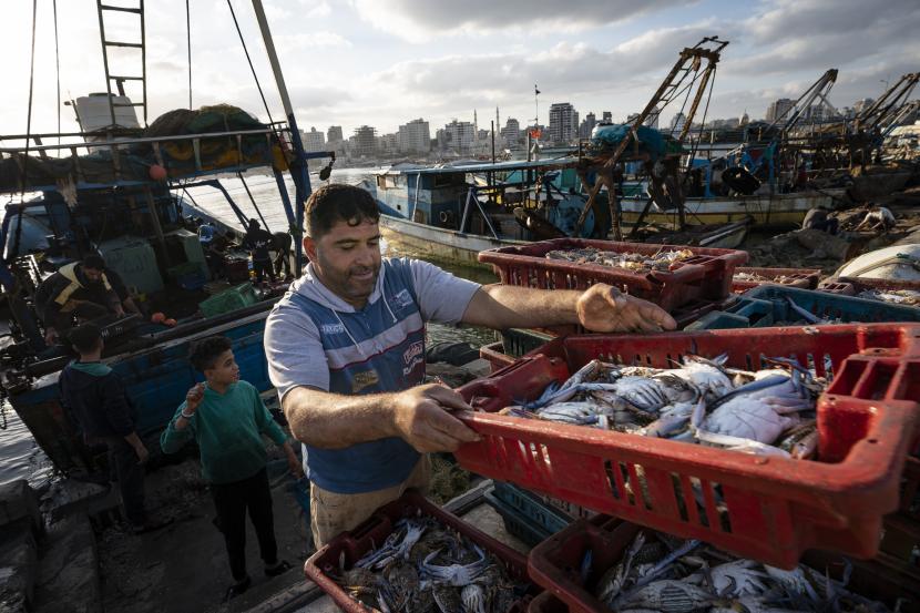 Nelayan Gaza kembali melaut setelah terjadinya gencatan senjata antara Israel dan kelompok perlawanan di Gaza.