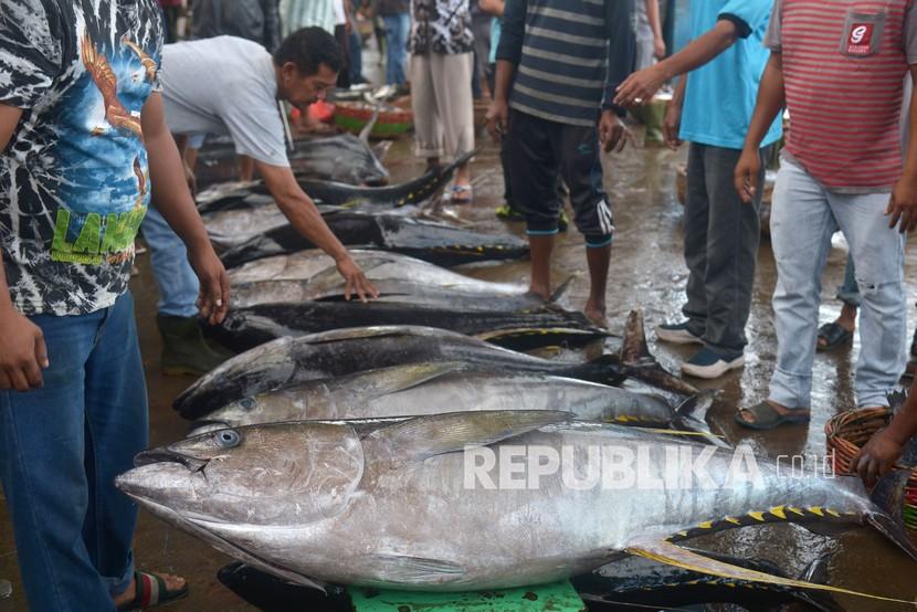 Nelayan melelang ikan tuna sirip kuning (ilustrasi). Selama pandemi Covid-19 yang terjadi pada 2020, ekspor perikanan asal Kalimantan Selatan melonjak tajam dibandingkan tahun-tahun sebelumnya.