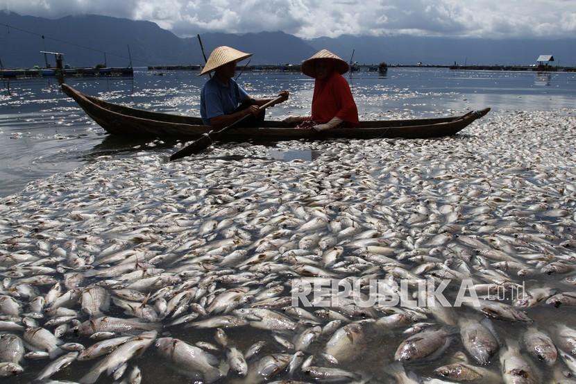 Nelayan melintas di dekat ribuan ikan karamba jaring apung yang mati di Danau Maninjau, Kabupaten Agam, Sumatera Barat (ilustrasi). 