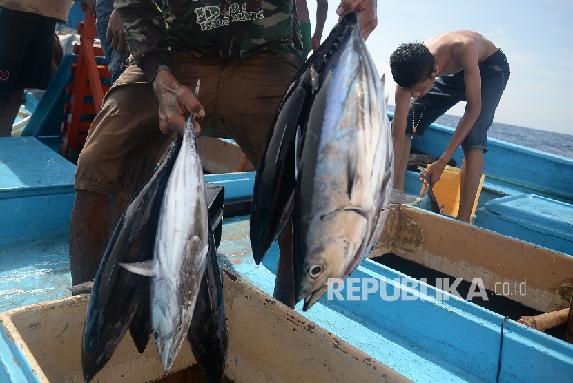 Ikan cakalang. Berkurangnya pasokan dari desa-desa nelayan yang ada di Pulau Ambon membuat ikan cakalang segar sulit ditemukan di pasar.