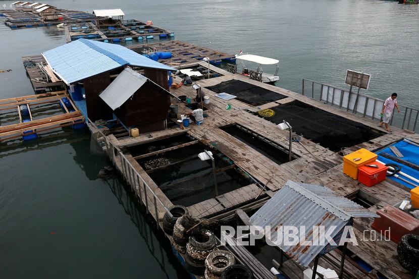 Nelayan memberi pakan budidaya lobster dan ikan di keramba apung (ilustrasi). Kementerian Kelautan dan Perikanan (KKP) menggenjot produktivitas perikanan budidaya dalam negeri.