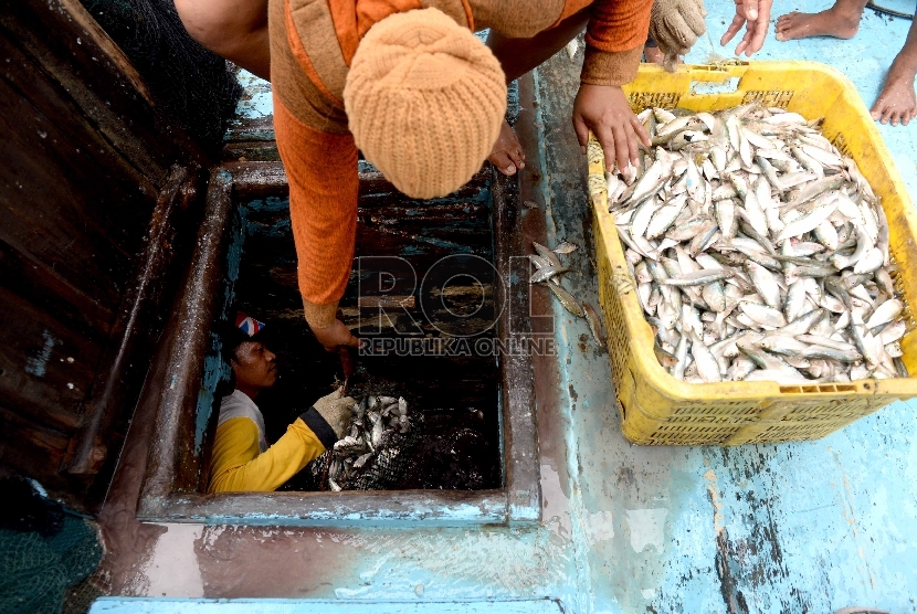 Nelayan membongkar muatan ikan di Pelabuhan Muara Angke, Jakarta Utara, Ahad (13/12).  (Republika/Wihdan)