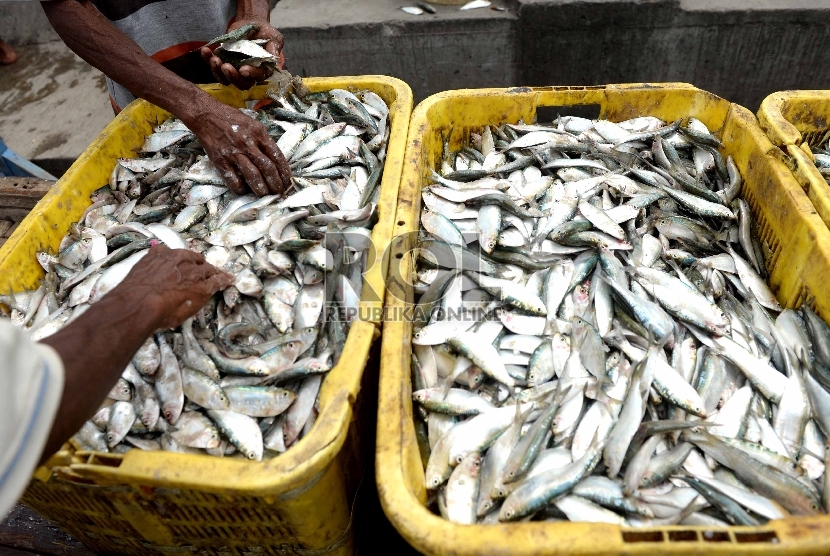 Nelayan membongkar muatan ikan di Pelabuhan Muara Angke, Jakarta Utara, Ahad (13/12).  (Republika/Wihdan)