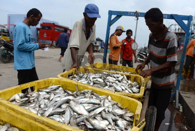 Nelayan membongkar muatan ikan di Pelabuhan Muara Angke, Jakarta Utara, Ahad (13/12).  (Republika/Wihdan)